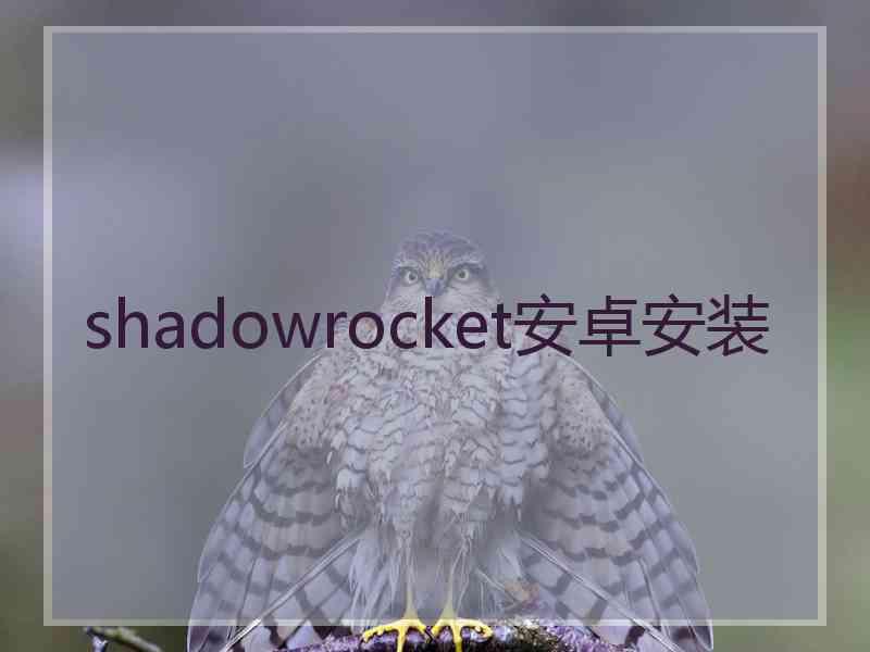 shadowrocket安卓安装