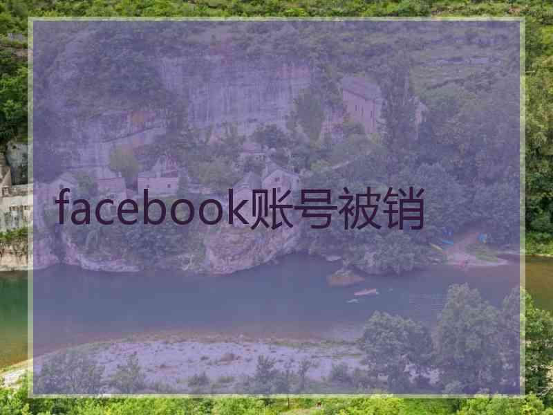 facebook账号被销