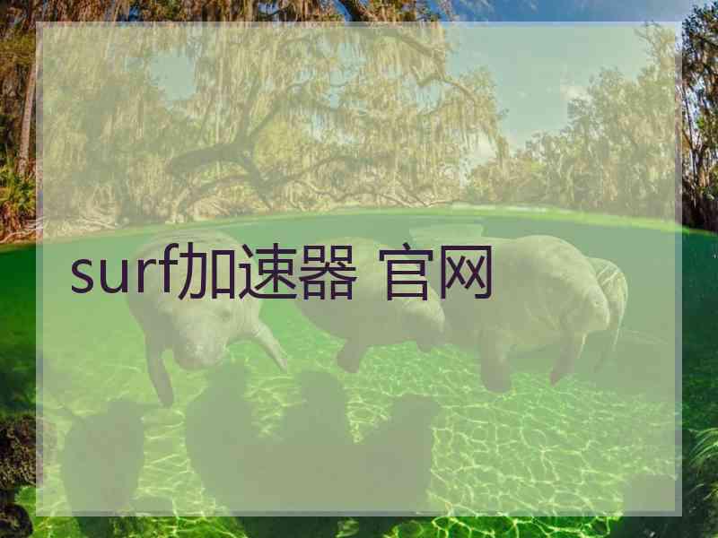 surf加速器 官网