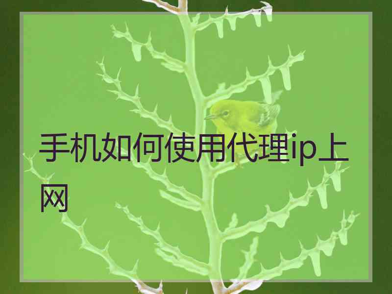 手机如何使用代理ip上网