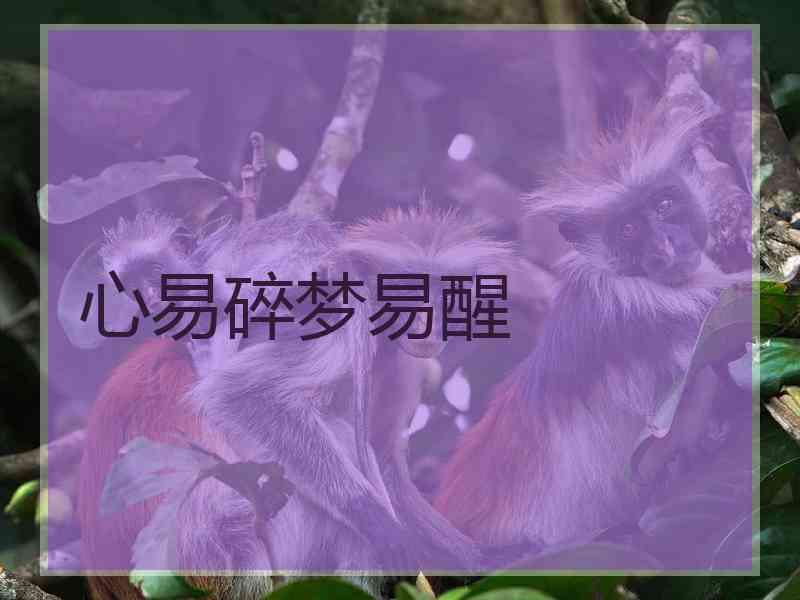 心易碎梦易醒