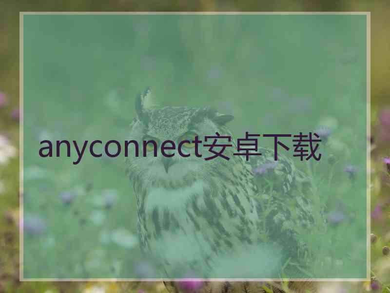 anyconnect安卓下载