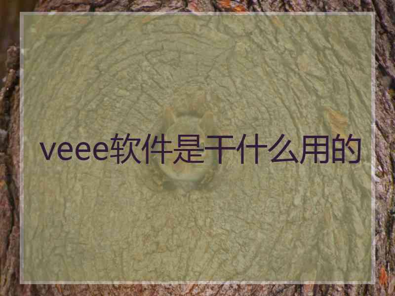 veee软件是干什么用的