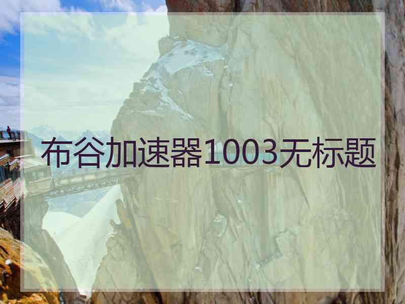 布谷加速器1003无标题