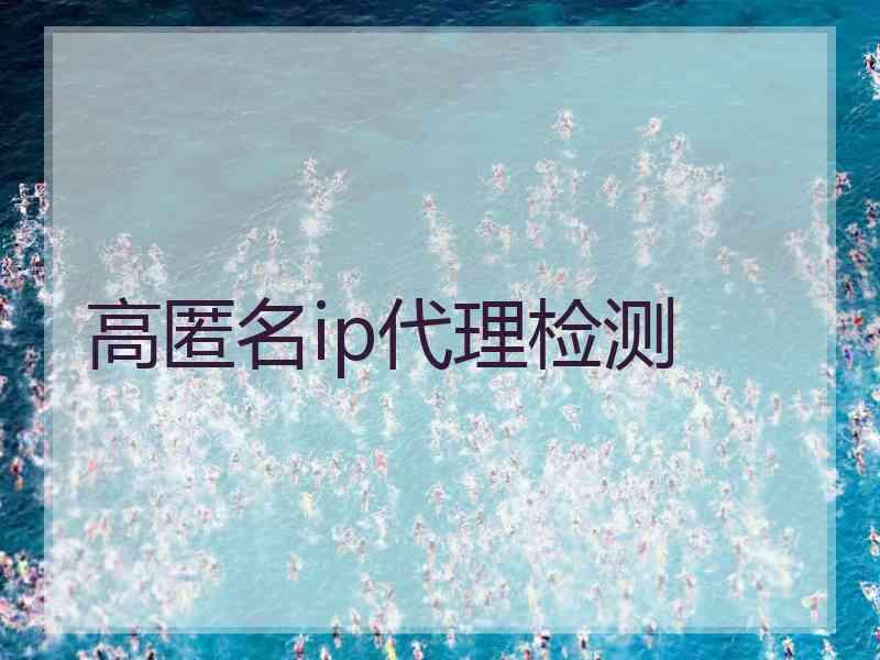 高匿名ip代理检测