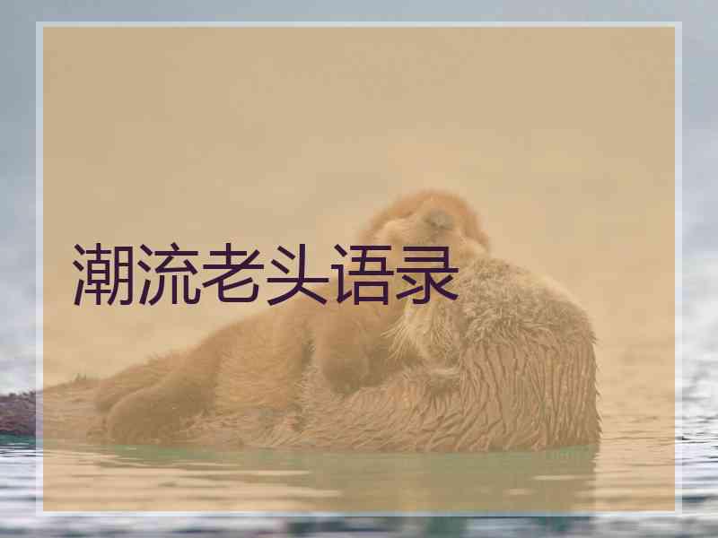 潮流老头语录