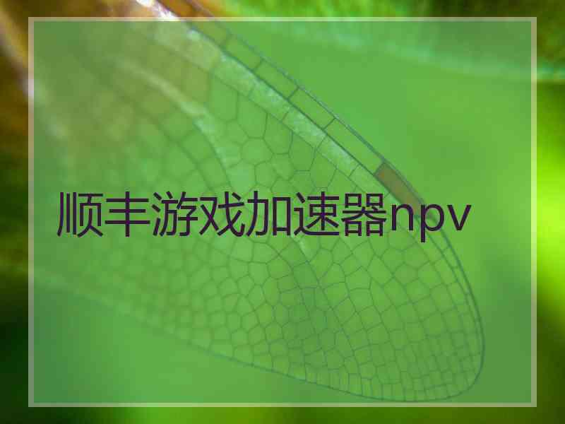 顺丰游戏加速器npv