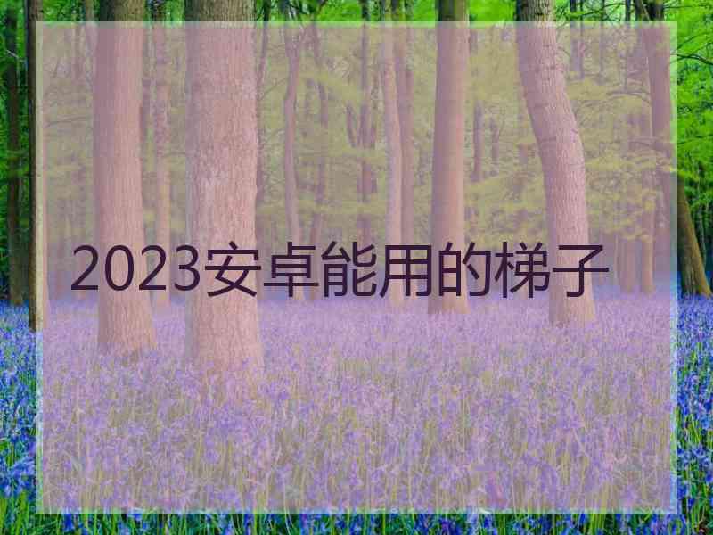 2023安卓能用的梯子