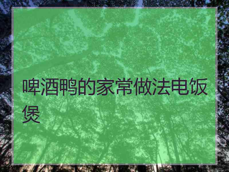 啤酒鸭的家常做法电饭煲