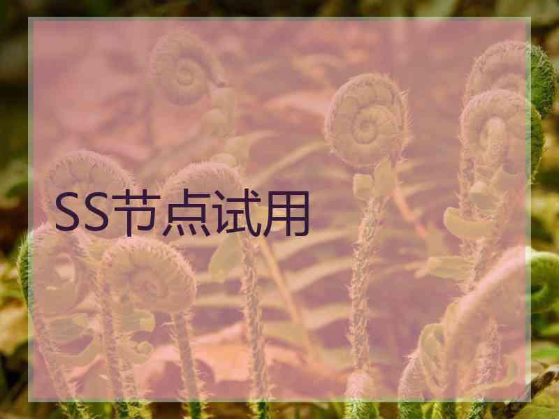 SS节点试用