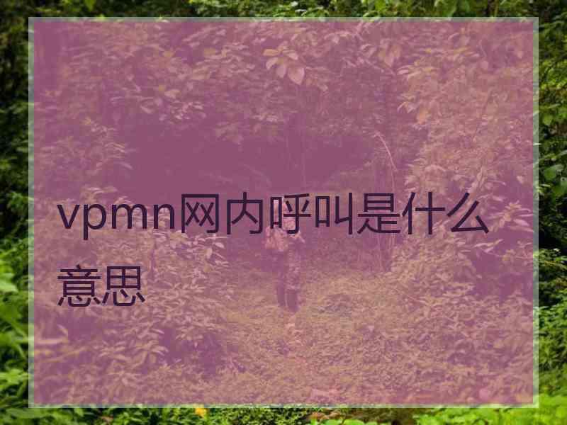 vpmn网内呼叫是什么意思