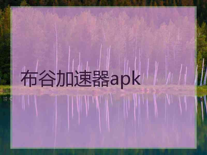 布谷加速器apk