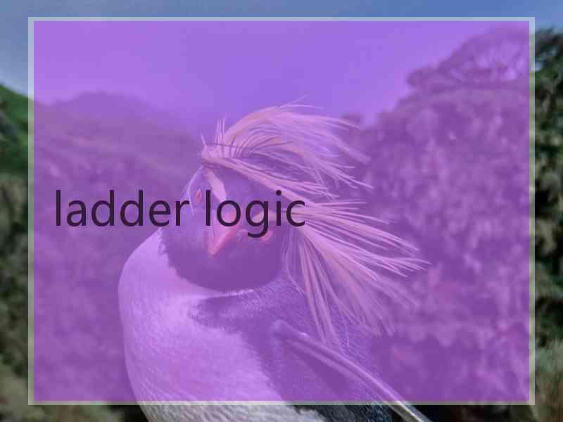 ladder logic