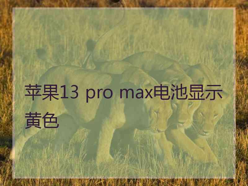 苹果13 pro max电池显示黄色