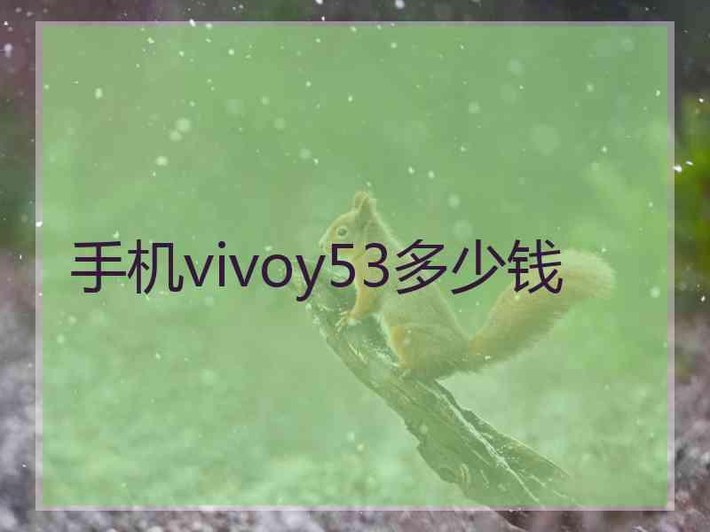 手机vivoy53多少钱