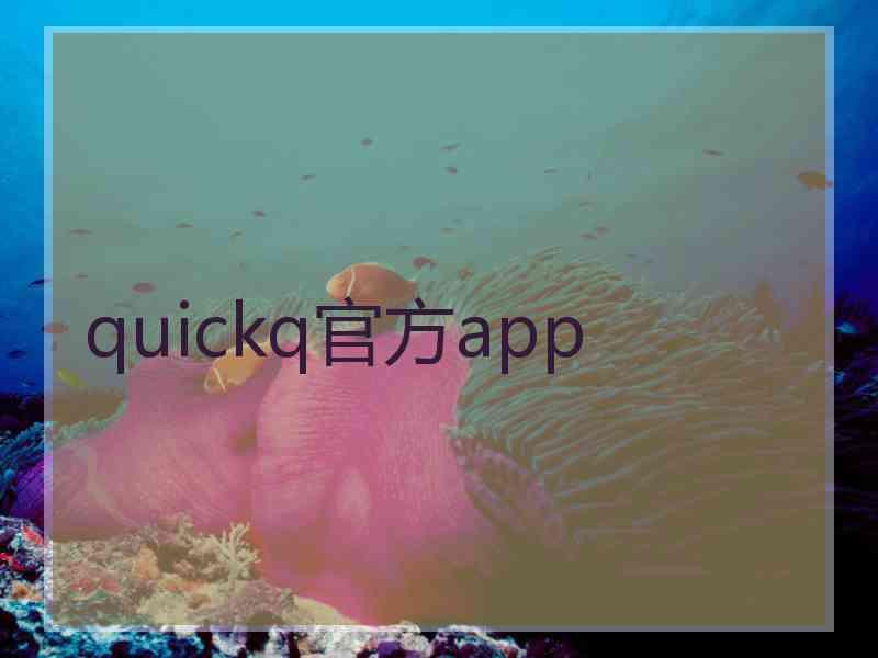 quickq官方app