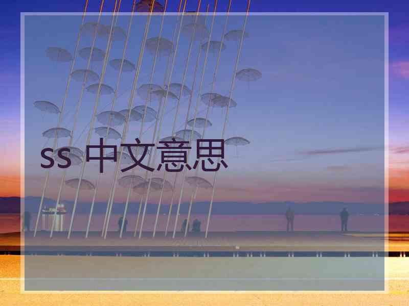 ss 中文意思