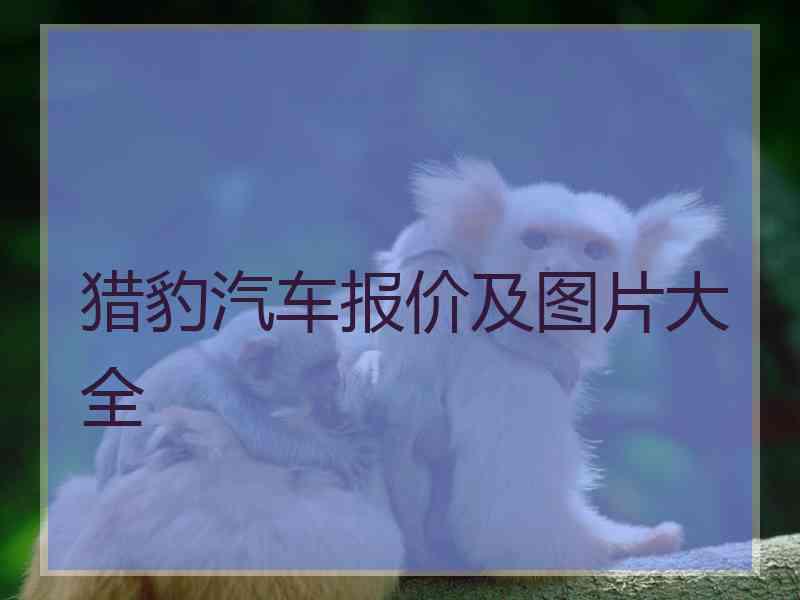 猎豹汽车报价及图片大全