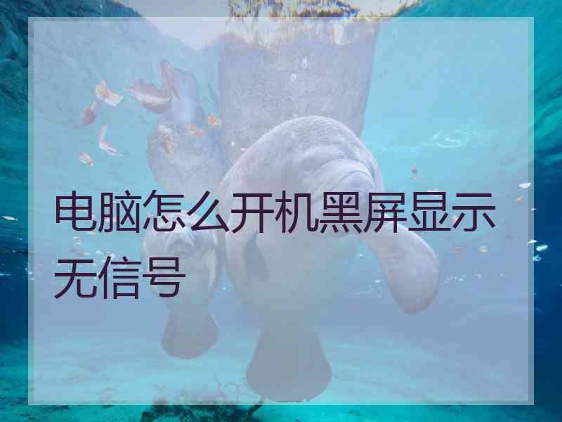 电脑怎么开机黑屏显示无信号