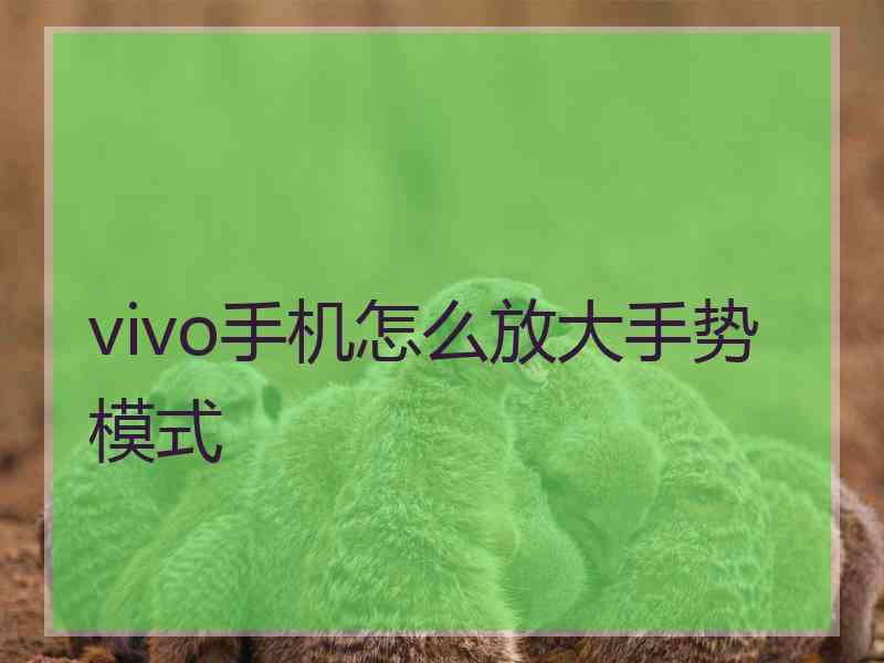 vivo手机怎么放大手势模式