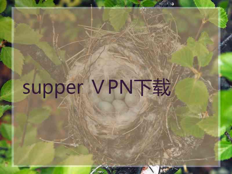 supper ⅤPN下载