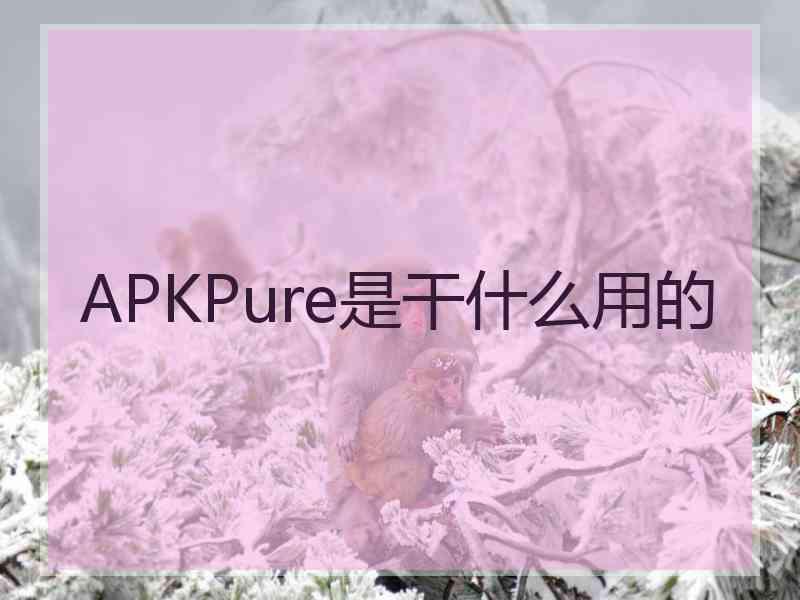 APKPure是干什么用的