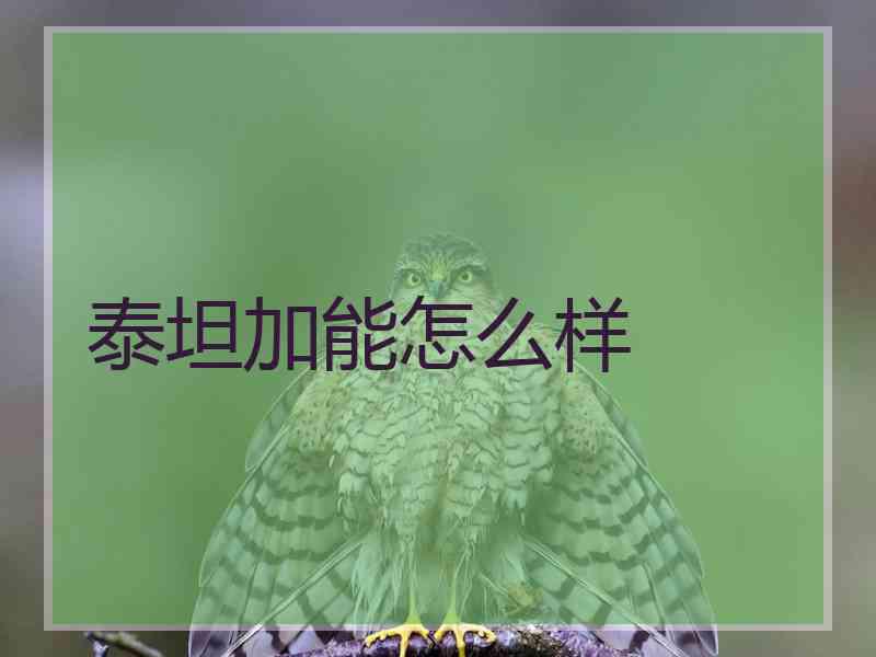 泰坦加能怎么样