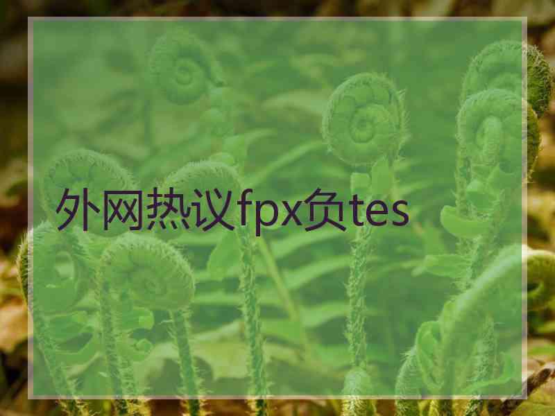 外网热议fpx负tes