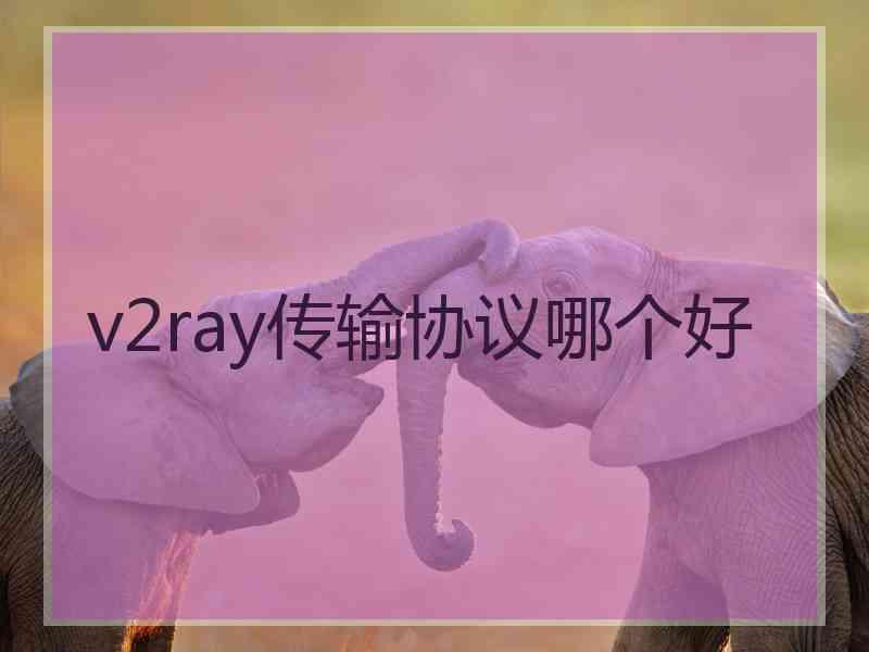 v2ray传输协议哪个好