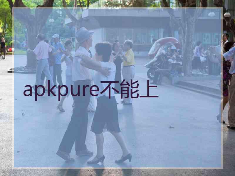 apkpure不能上