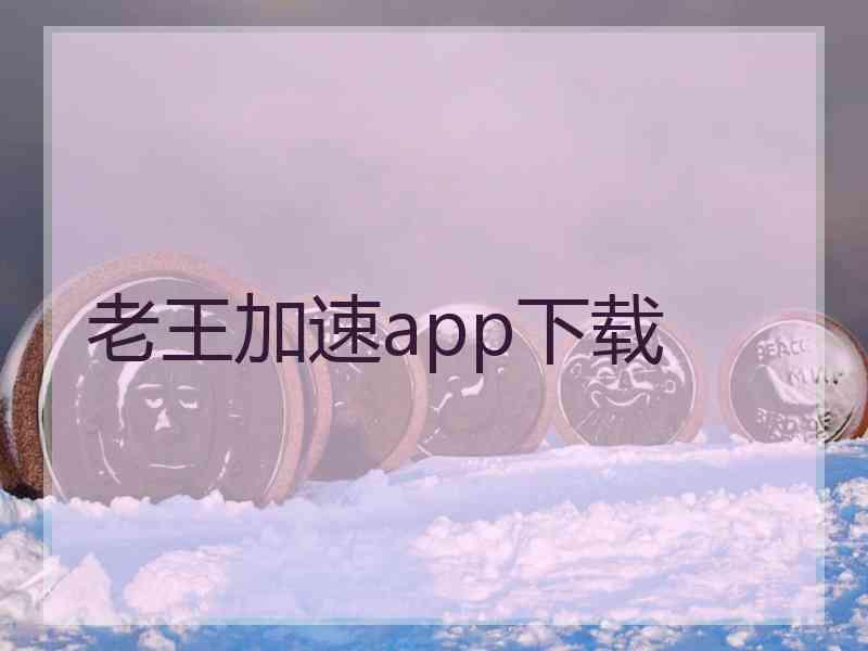 老王加速app下载