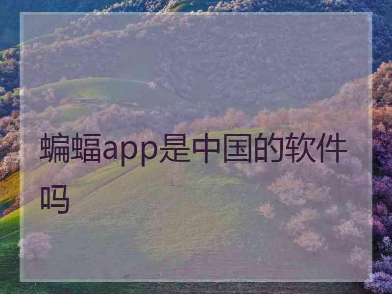 蝙蝠app是中国的软件吗