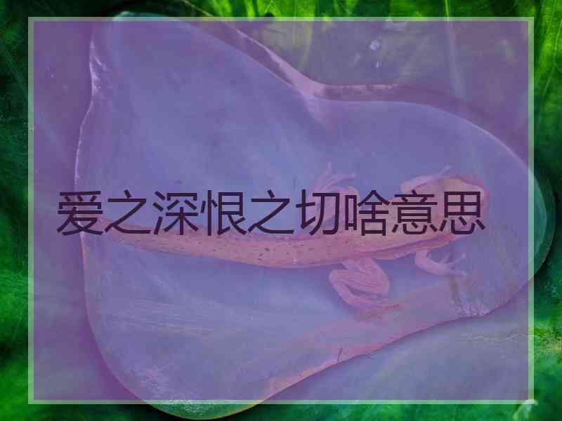 爱之深恨之切啥意思