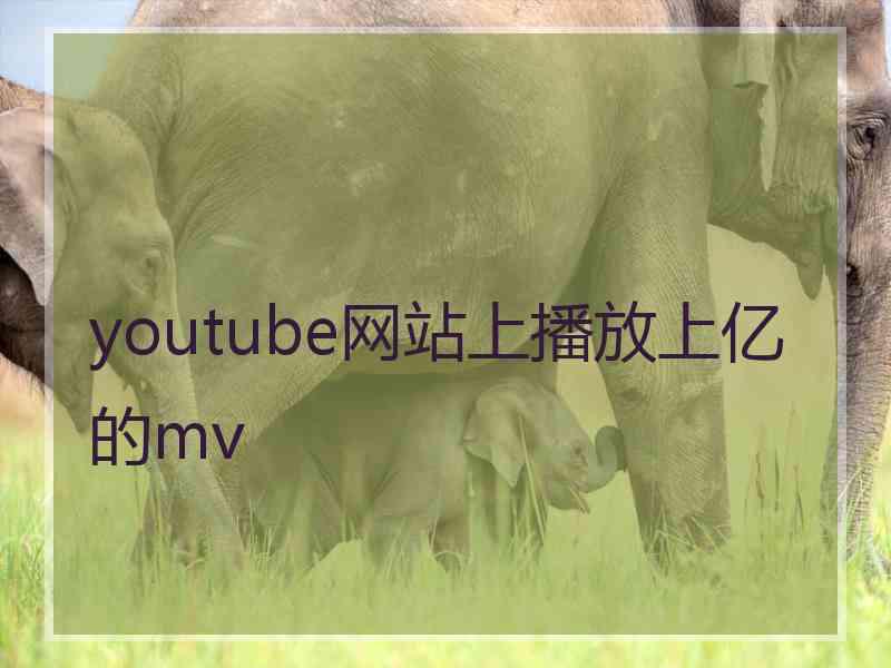 youtube网站上播放上亿的mv