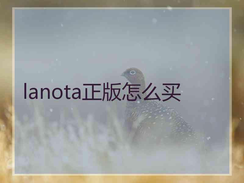 lanota正版怎么买