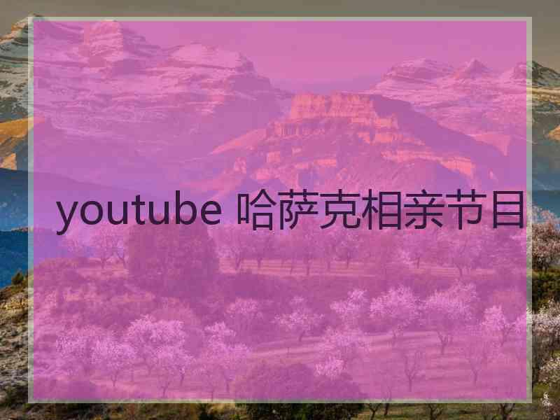 youtube 哈萨克相亲节目