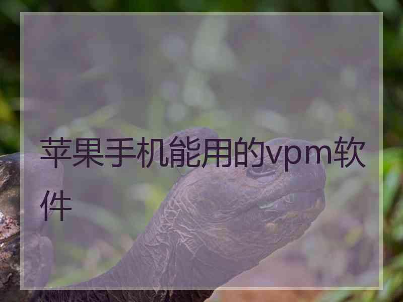 苹果手机能用的vpm软件