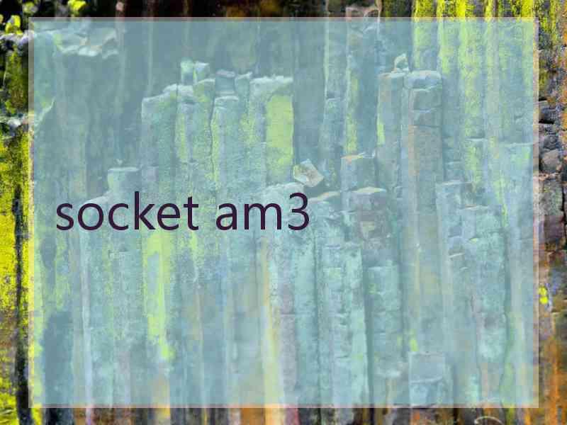 socket am3