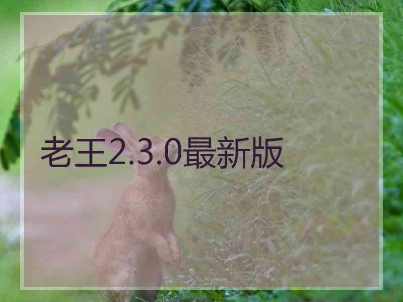 老王2.3.0最新版