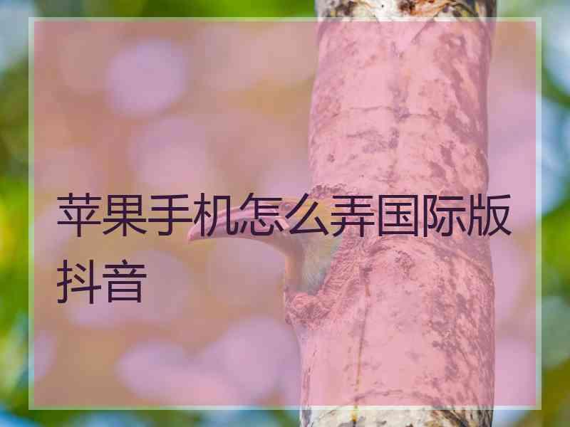 苹果手机怎么弄国际版抖音