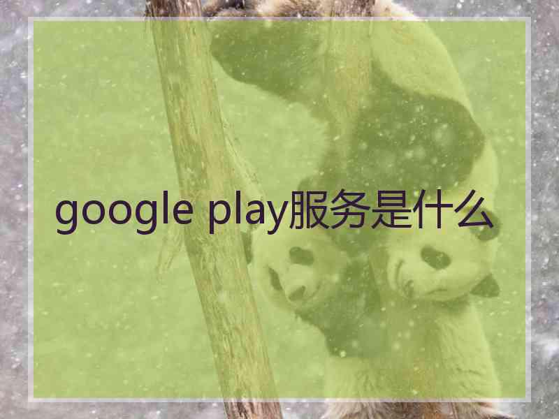 google play服务是什么