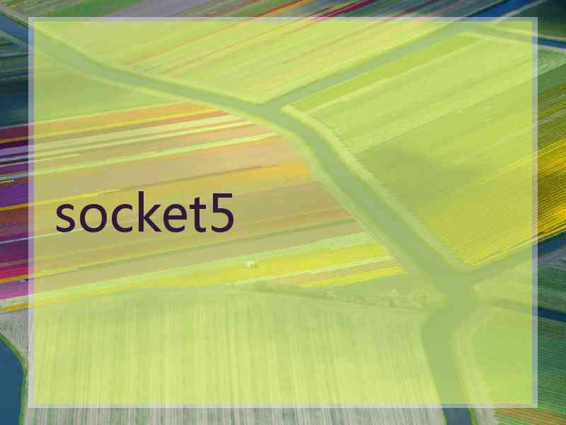 socket5