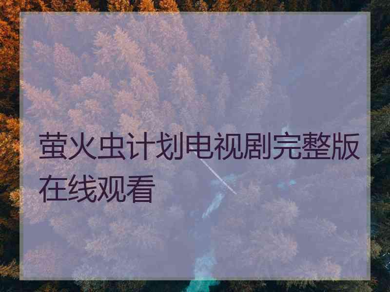 萤火虫计划电视剧完整版在线观看