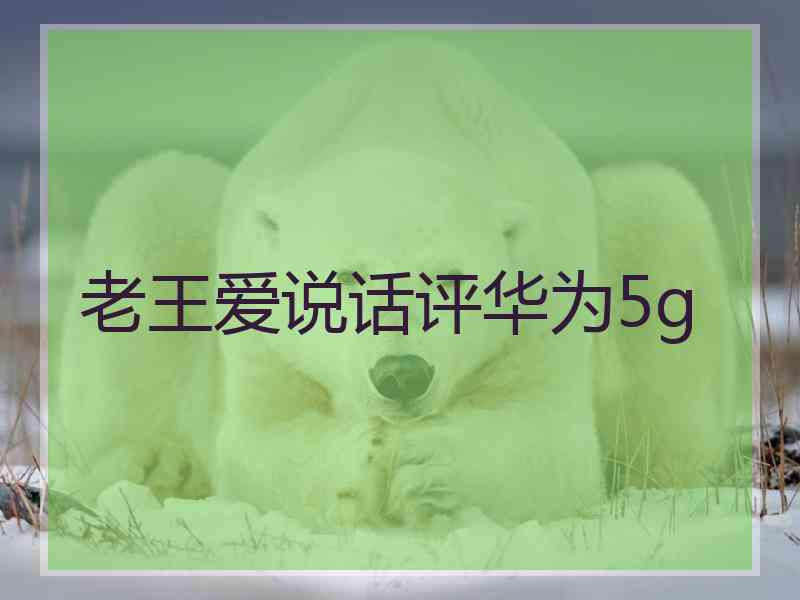 老王爱说话评华为5g