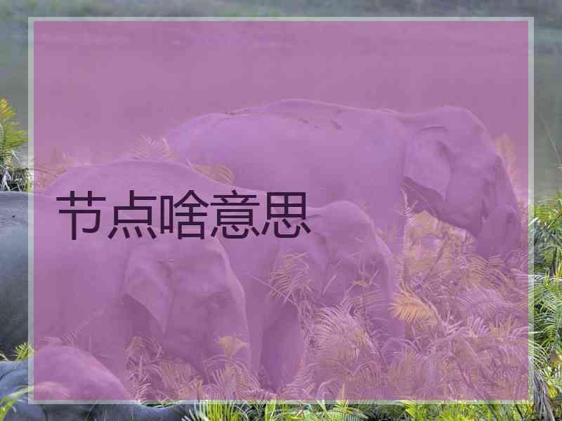 节点啥意思