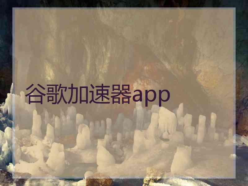 谷歌加速器app