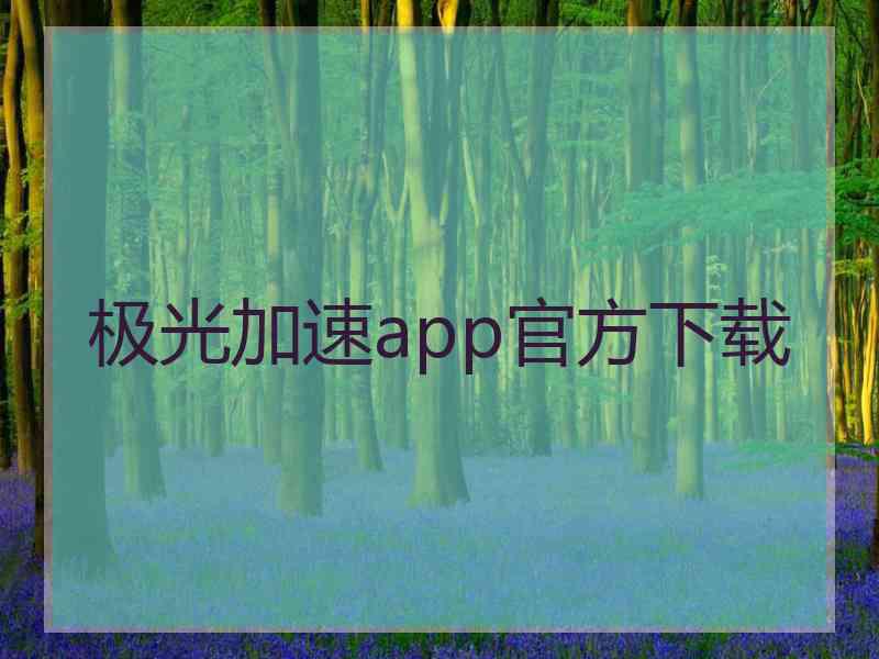 极光加速app官方下载