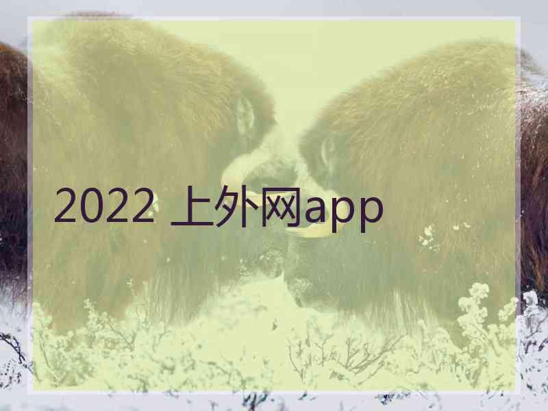 2022 上外网app