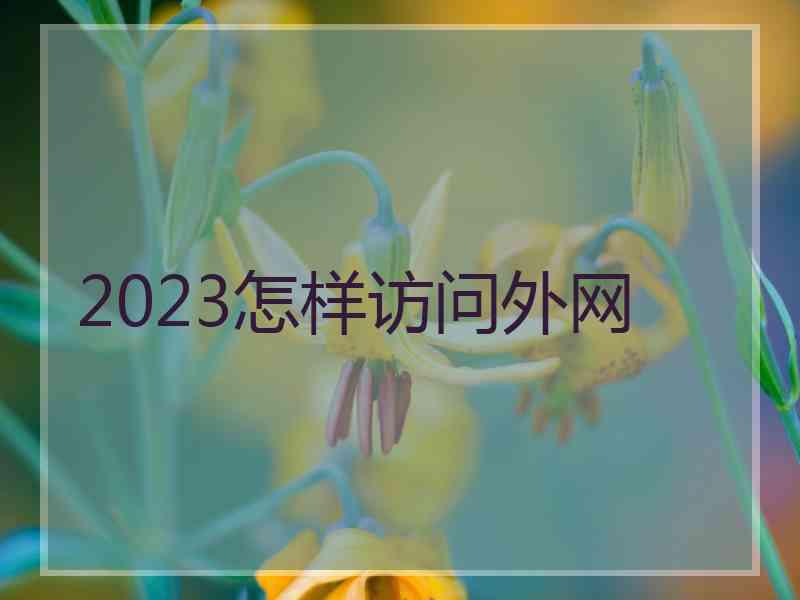 2023怎样访问外网