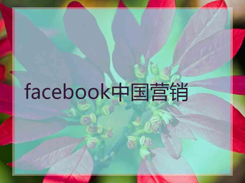 facebook中国营销